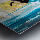 Brave Rottweiler Puppy Sits Confidently By Green Curtains Impression metal