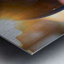 Border Collie Puppy Discovers Perfect Hiding Spot Metal print