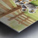 Content Australian Shepherd Puppy Enjoys Peaceful Moment Impression metal