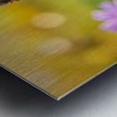 Yorkshire Terrier Puppy Finds Big Stick Adventure Metal print