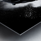 Boston Terrier Puppy Happy Despite Sandy Mess Metal print