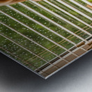 Golden Retriever Puppy Watches Rain Through Window Impression metal