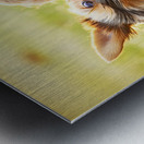 Tired Yorkshire Terrier Heads Home Metal print