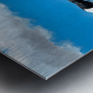 Successful Border Collie Puppy With Tennis Ball Metal print