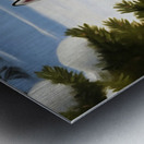 Siberian Husky Puppy In Red Holiday Costume Indoors Impression metal