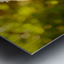 Golden Retriever Puppy Discovers Ice Cream Treat Impression metal