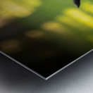 German Shepherd Puppy Returns Pinecone For Another Round Impression metal