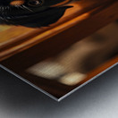 Rottweiler Puppy Joins The Family Fun Metal print