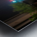 Bulldog Puppy Watches First Fireworks Display Impression metal