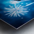 Rottweiler Puppy Completes Fireworks Adventure Impression metal