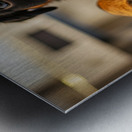 Rottweiler Puppys First Vet Visit Impression metal