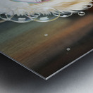 Happy Poodle Puppy After Bubble Adventure Impression metal