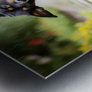 Happy Puppy Walks Away From Peaceful Garden Encounter Metal print