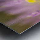 Beagle Puppy Claims His Royal Throne Metal print