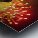 Rottweiler Puppy Watches First Fireworks Display Metal print