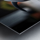 Rottweiler Puppy Discovers Garden Snail On Rainy Day Impression metal