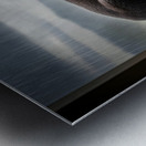 Rottweiler Puppy Seeks Shelter From Heavy Rain Metal print