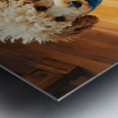 Poodle Puppy Finally Free From Sweater Metal print