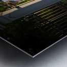 Bulldog Puppy Jumps With Joy At School Gate Impression metal