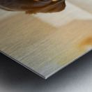 Brave Puppy Completes The Weighing Impression metal