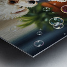 Poodle Puppy Discovers Bath Bubbles Impression metal