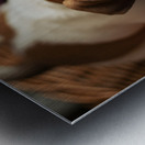 Bulldog Puppy Discovers The Laundry Basket Impression metal