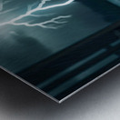 Dachshund Puppy Watches Storm From Covered Porch Metal print