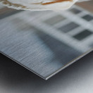 Bichon Frise Puppy Peeking From Sweater Sleeve Impression metal