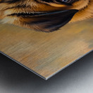 Pug Puppy Discovers The Amazing Moving Picture Box Impression metal