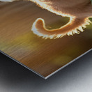 Golden Retriever Puppy Discovers Park Fence Metal print