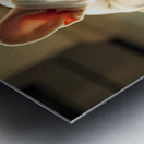 French Bulldog Puppy Discovers Spaghetti Bowl Impression metal