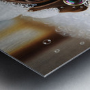 German Shorthaired Pointer Puppy Shakes Off The Bubbles Metal print