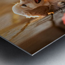 Golden Puppy Happy With New Fence Friend Impression metal