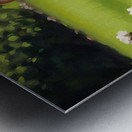 Sleepy Super Corgi Rests After Hero Adventures Metal print