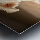 Proud Bichon Frise Puppy Wearing Cozy Sweater Metal print