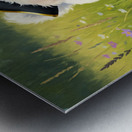 Bichon Frise Puppy Discovers Pirate Treasure Map Metal print