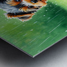Content Yorkshire Terrier Puppy Rests After Raindrop Adventure Metal print