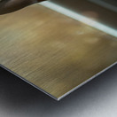 Boston Terrier Puppy Sees Sunshine After The Rain Impression metal