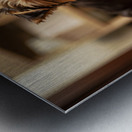 Yorkshire Terrier Puppy Caught Climbing Forbidden Sofa Impression metal