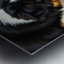 Australian Shepherd Puppy Discovers A Quiet Pond Metal print