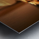 Happy Yorkshire Terrier Puppy Plays With Toy Impression metal