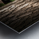 Detective Puppy Solves Case And Finds New Garden Friend Impression metal