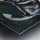 Happy Husky Puppy Enjoys Pond Watching Metal print