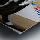 Border Collie Puppy Proudly Shows Off Finished Paw Art Impression metal