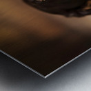 Happy Yorkshire Terrier Puppy With Nature Treasures Impression metal