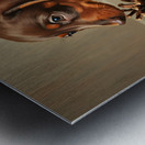 Happy Dachshund Puppy Relaxing With Natural Treasures Impression metal