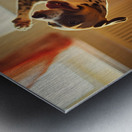 Puppy Masters Gentle Rocking Chair Motion Metal print