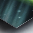 German Shorthaired Pointer Puppy Discovers Night Shadows Impression metal