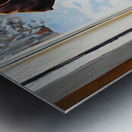 German Shorthaired Pointer Puppy Gets Winter Sweater Impression metal