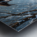 Sleepy Puppy Rests After Snow Adventure In Sweater Impression metal